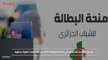 كل ما تحتاجه للتسجيل في منحة البطالة 2025 عبر anem.dz خطوة بخطوة